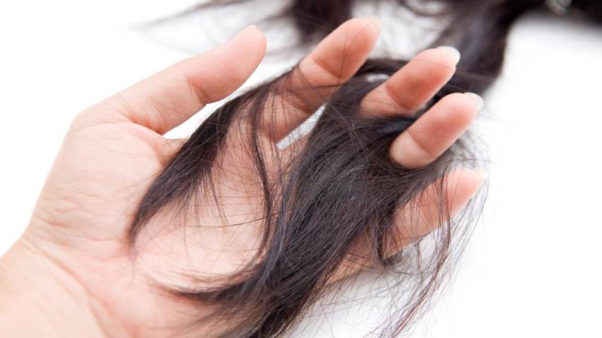 Rụng tóc là tình trạng phổ biến khi giao mùa